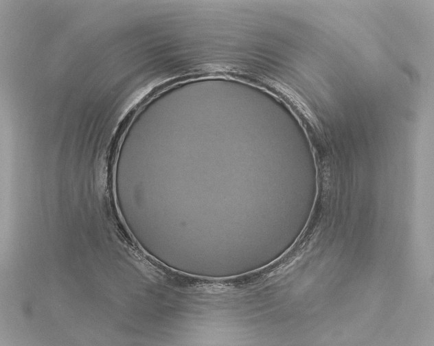 X0000115201023200911181504