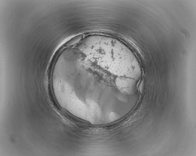 X0000115201024200911181504