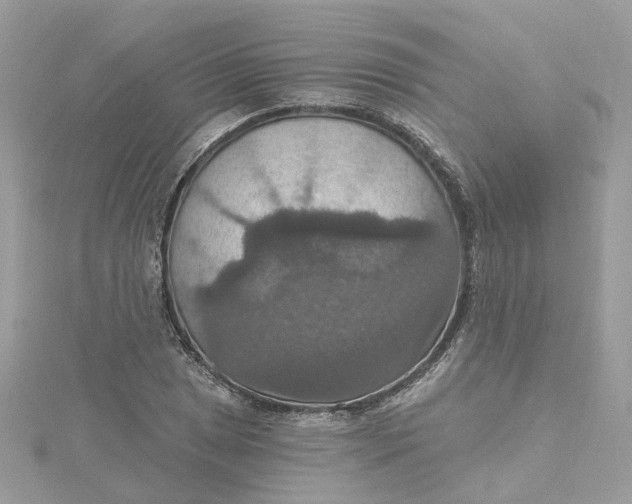 X0000115201025200911181504