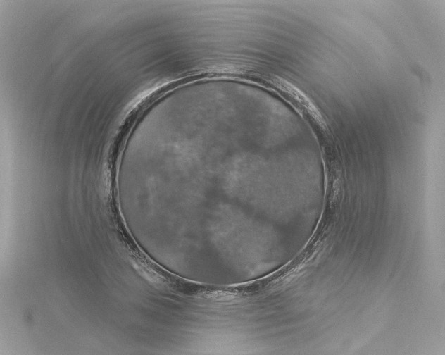 X0000115201027200911181504