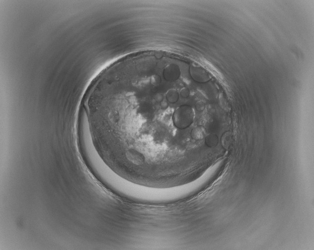 X0000115201028200911181504