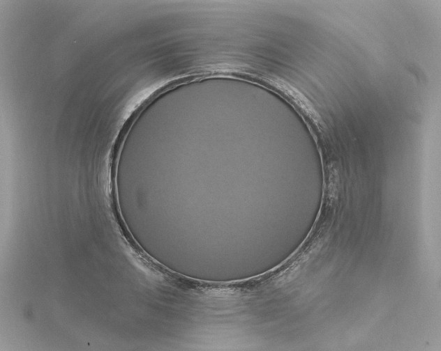 X0000115201031200911181504