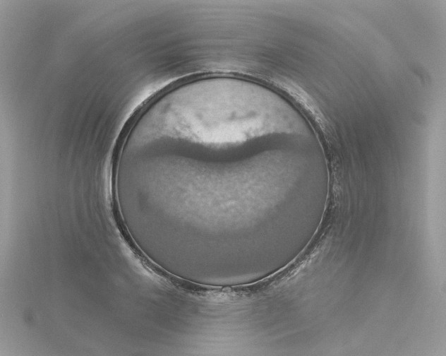 X0000115201032200911181504