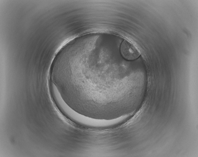 X0000115201034200911181504