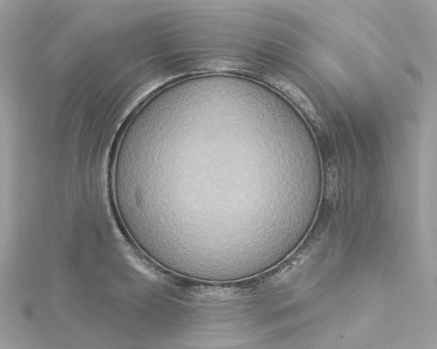 X0000115201039200911181504