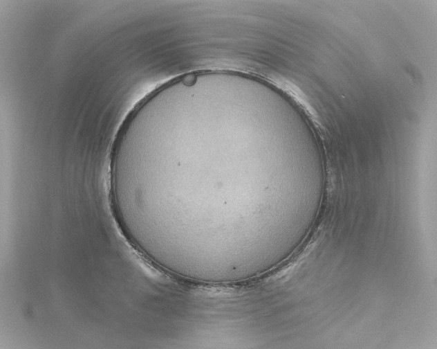 X0000115201040200911181504