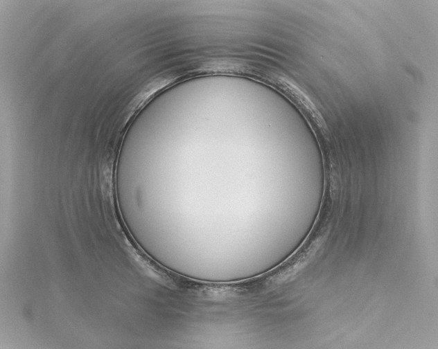 X0000115201041200911181504