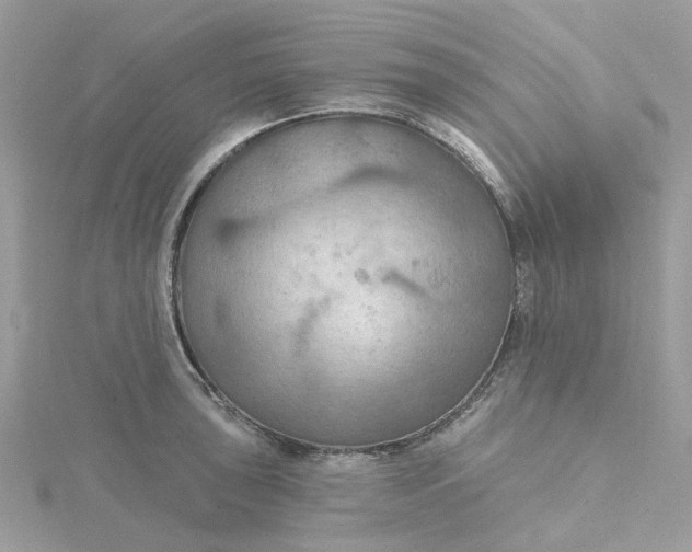 X0000115201043200911181504