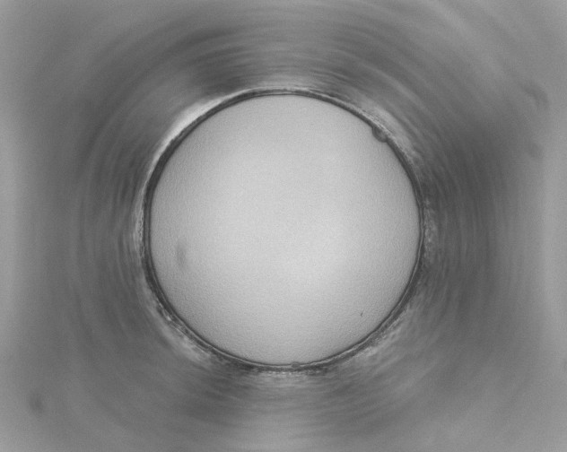 X0000115201044200911181504