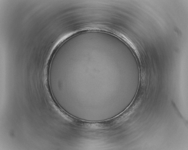 X0000115201045200911181504