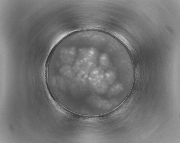 X0000115201047200911181504