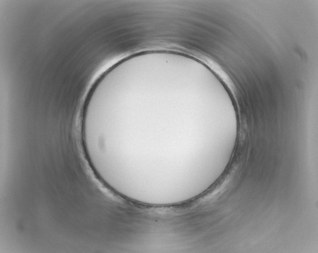 X0000115201053200911181504