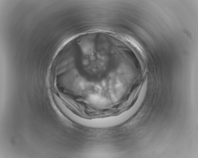 X0000115201055200911181504