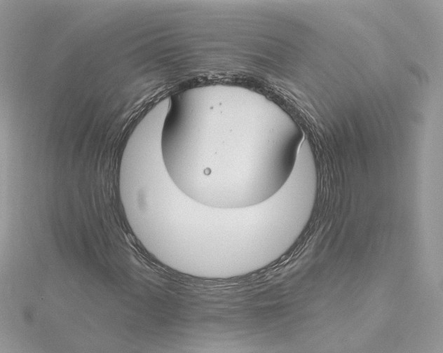 X0000115201060200911181504