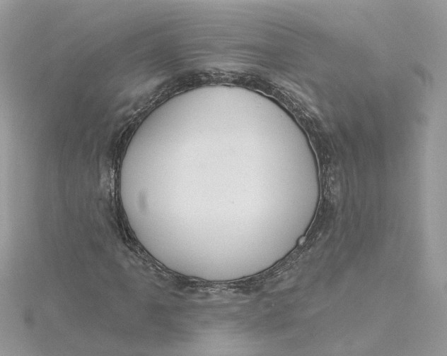 X0000115201061200911181504