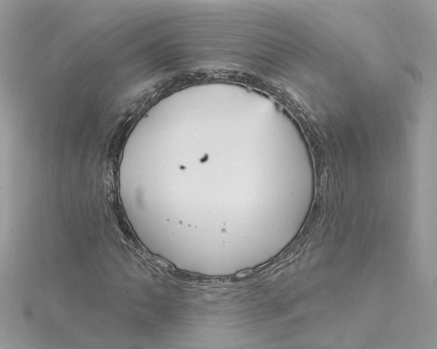 X0000115201062200911181504