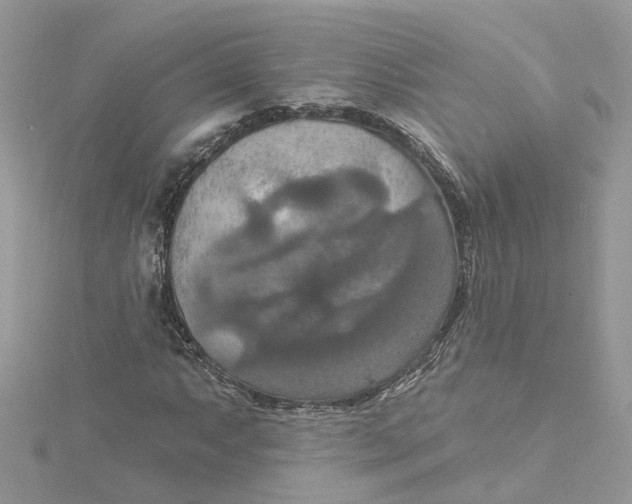 X0000115201063200911181504