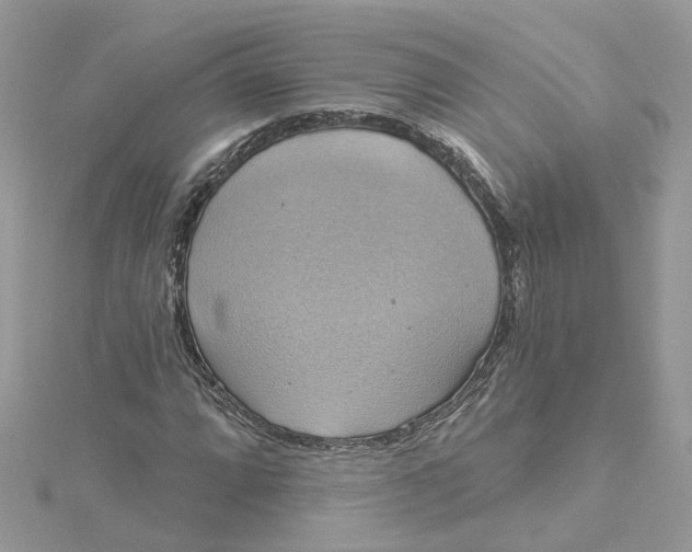 X0000115201064200911181504