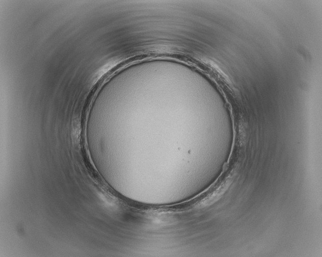 X0000115201065200911181504
