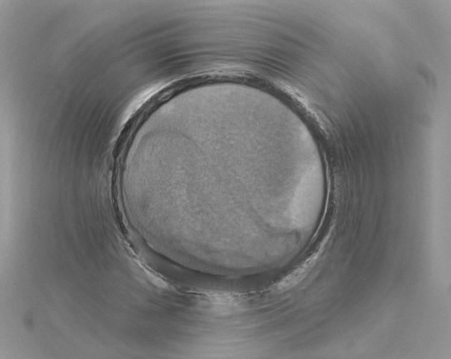 X0000115201066200911181504
