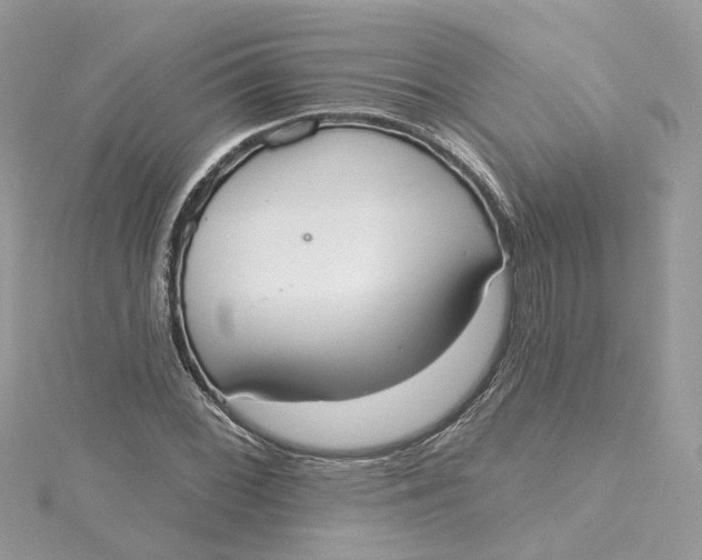 X0000115201068200911181504