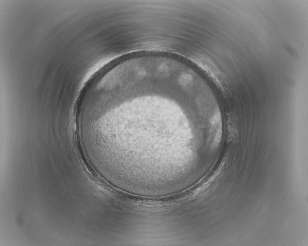 X0000115201070200911181504