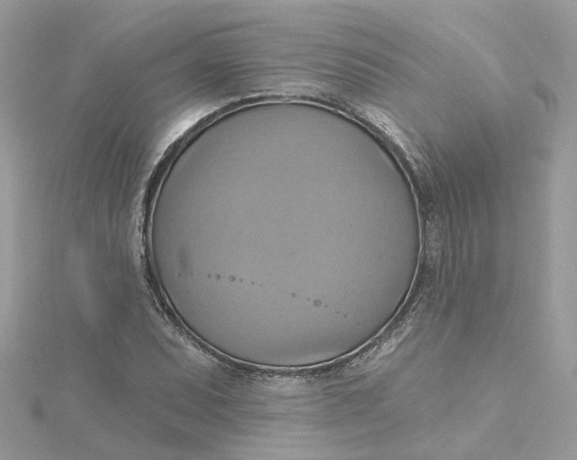 X0000115201071200911181504