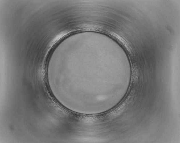 X0000115201074200911181503