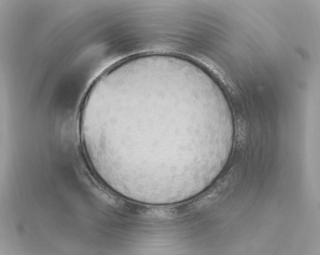 X0000115201078200911181503