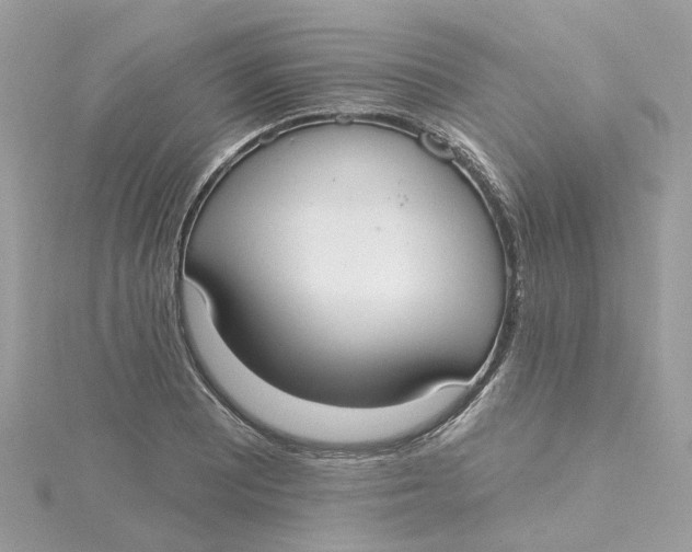 X0000115201081200911181503