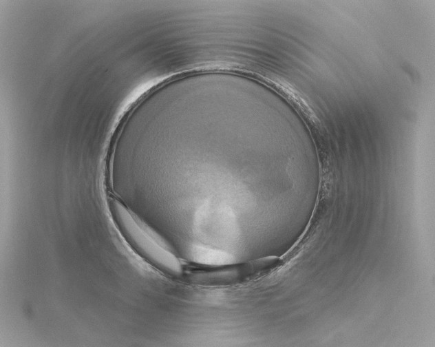 X0000115201086200911181503