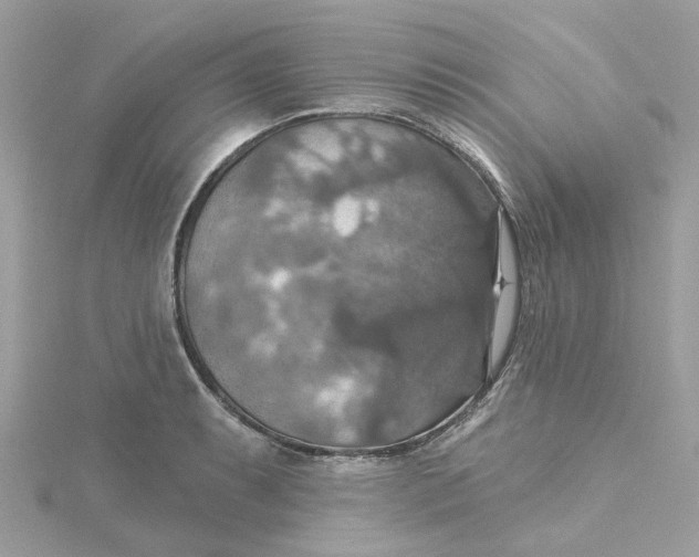 X0000115201087200911181503