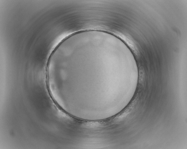 X0000115201094200911181503