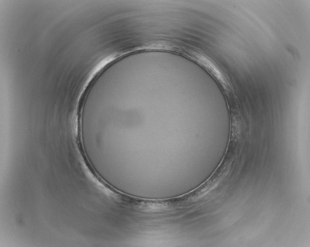 X0000115201095200911181503