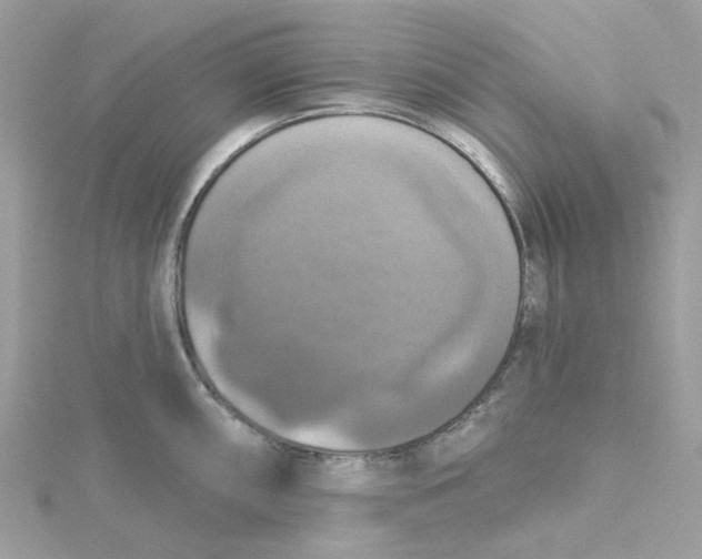 X0000115201098200911181503
