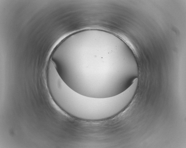 X0000115201100200911181503