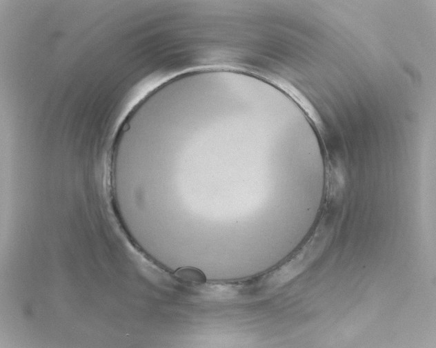 X0000115201101200911181503