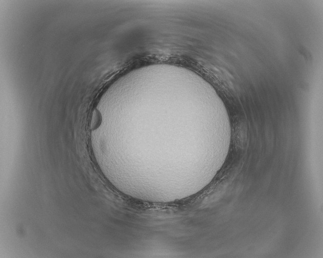 X0000115201105200911181502
