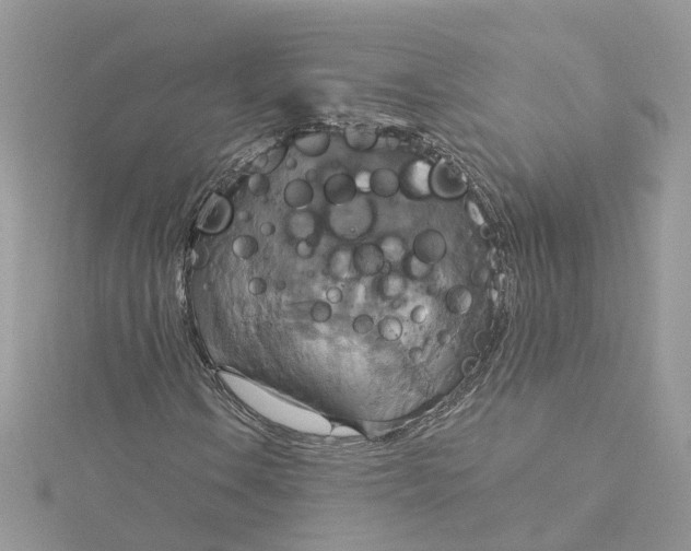 X0000115201106200911181502