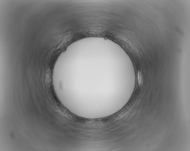 X0000115201107200911181503