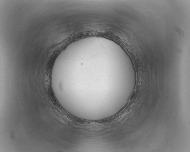 X0000115201109200911181503