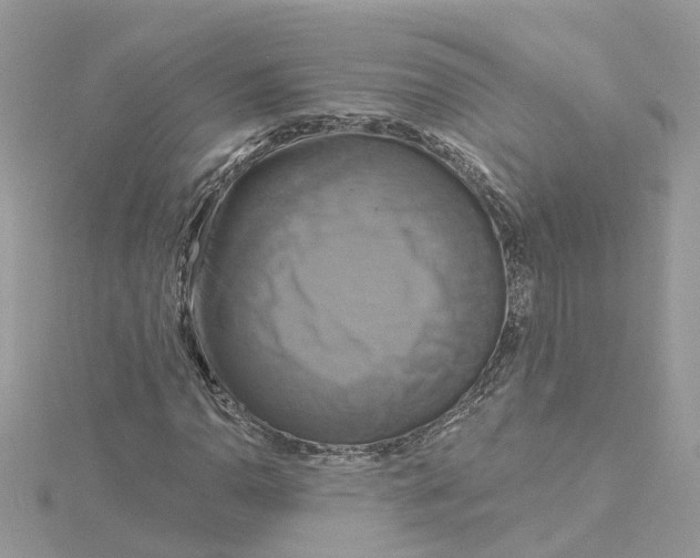 X0000115201110200911181503