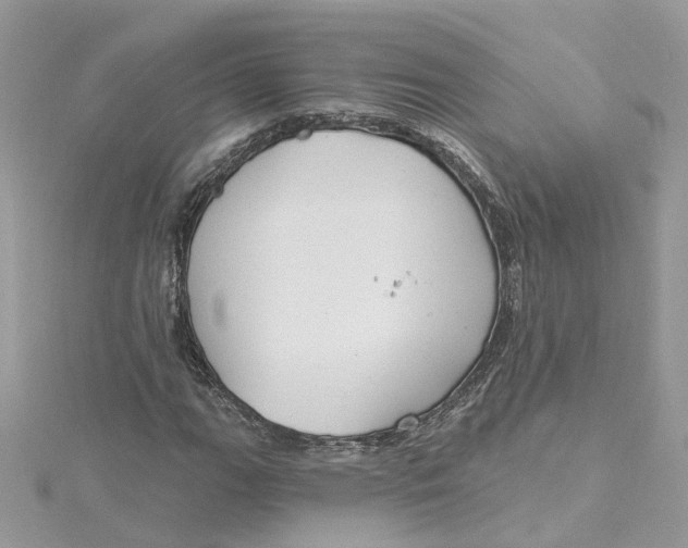 X0000115201111200911181503