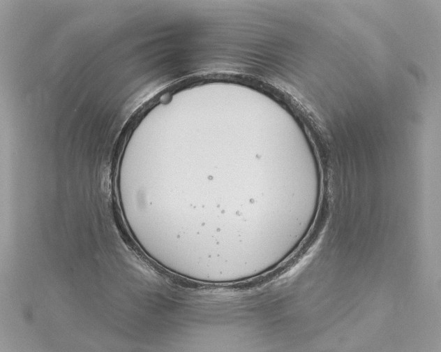 X0000115201113200911181503