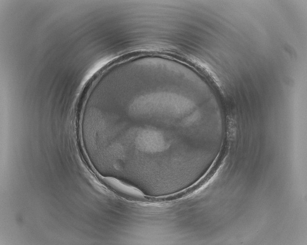 X0000115201114200911181503