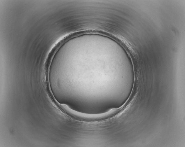 X0000115201118200911181503