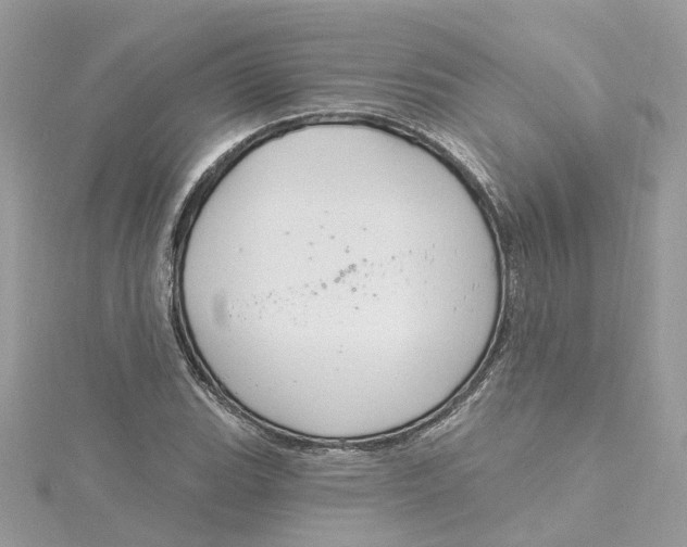 X0000115201119200911181503
