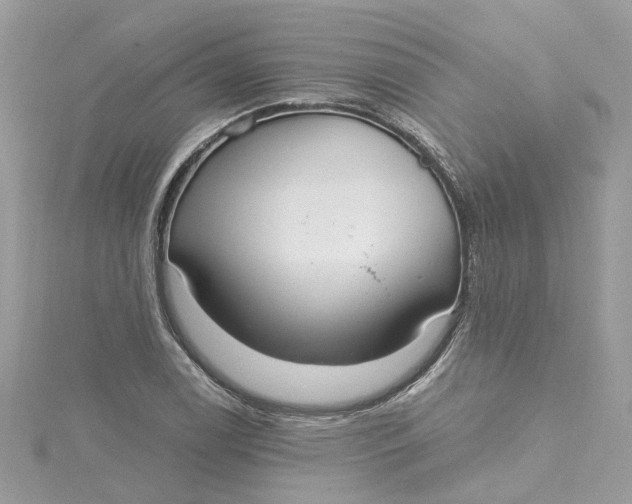 X0000115201122200911181503