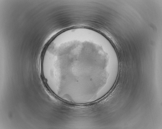 X0000115201127200911181503