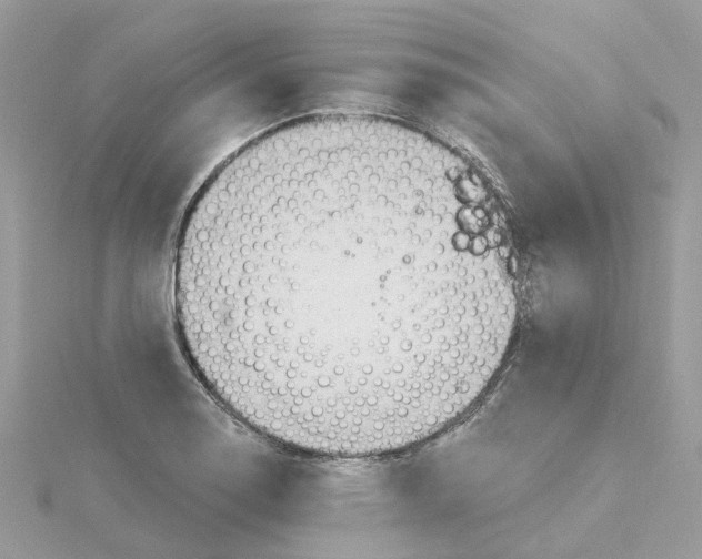 X0000115201130200911181503